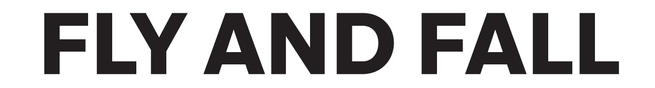 FlyandFall fashion brand logo in black and white, modern minimalist design