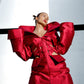 Obsidian Bloom red Mikado editorial dress photographed from a dramatic low angle with sculptural collar and architectural corset detailing by FlyandFall